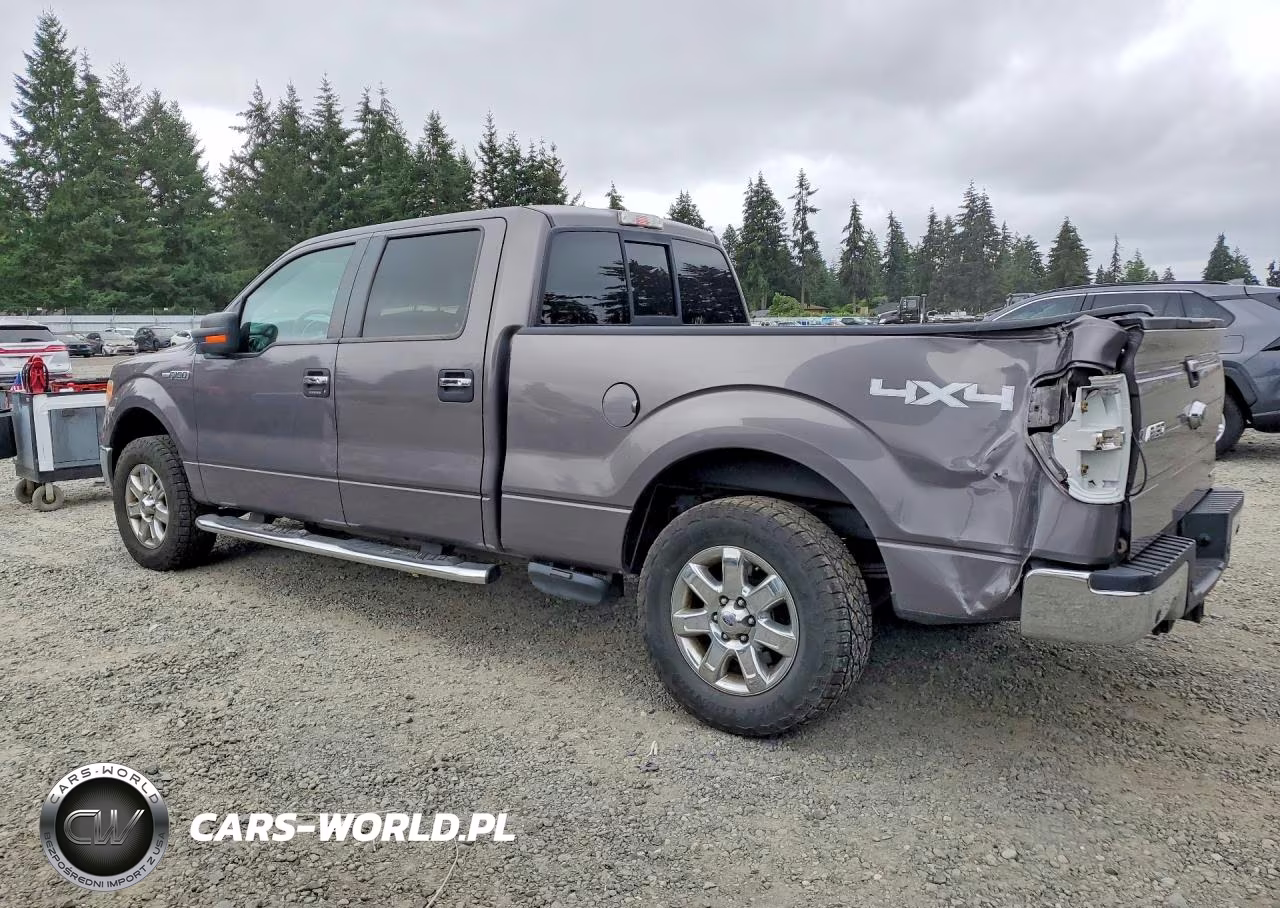 2013 Ford F150 Supercrew VIN:1FTFW1EF9DKE18479 - 2