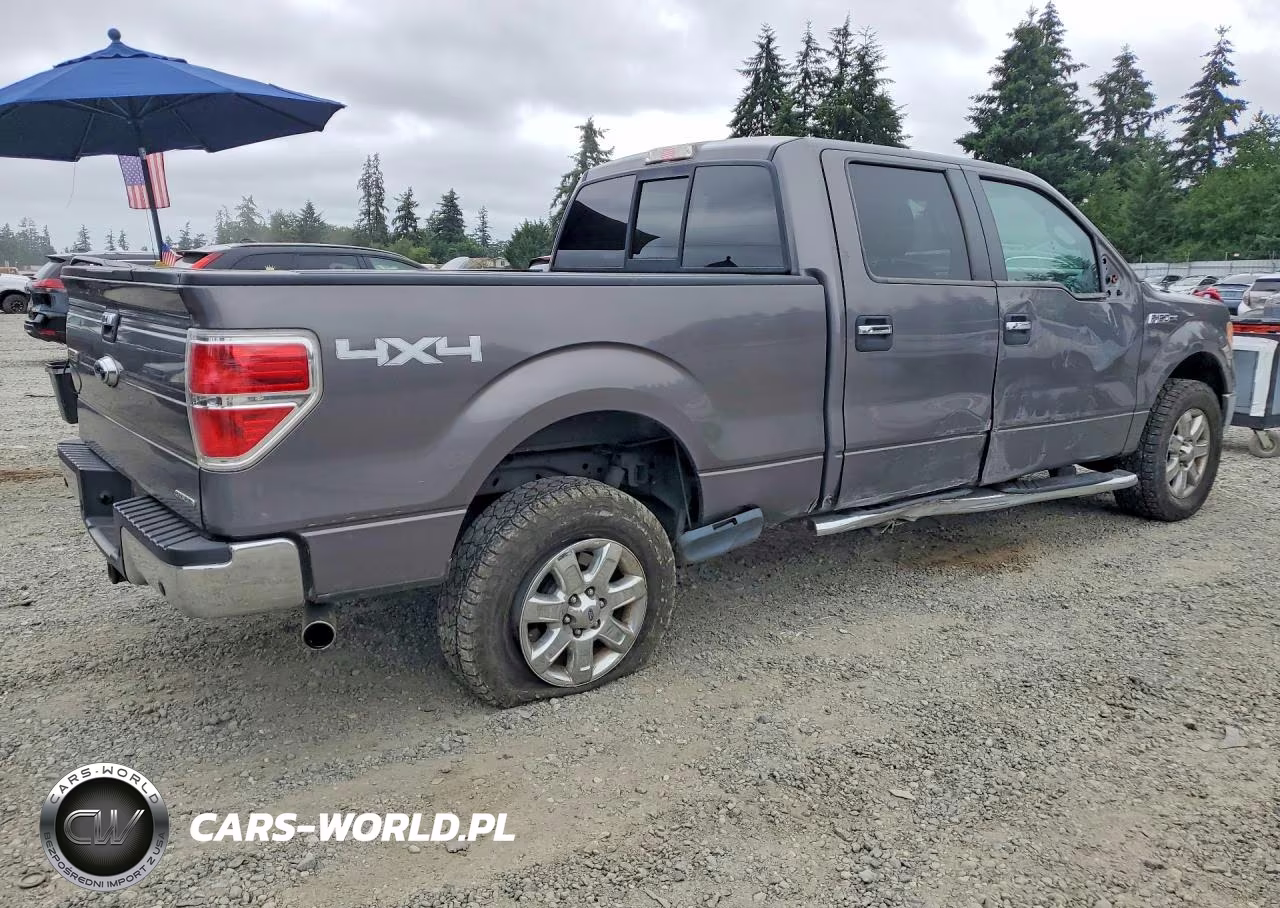2013 Ford F150 Supercrew VIN:1FTFW1EF9DKE18479 - 3