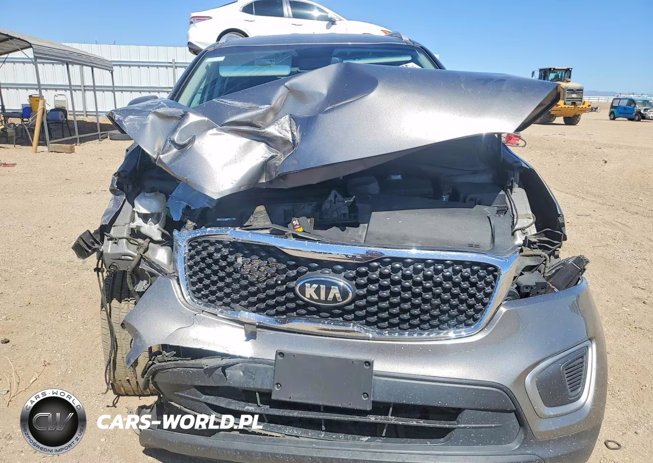 2017 Kia Sorento Lx VIN:5XYPG4A31HG217623 - 5