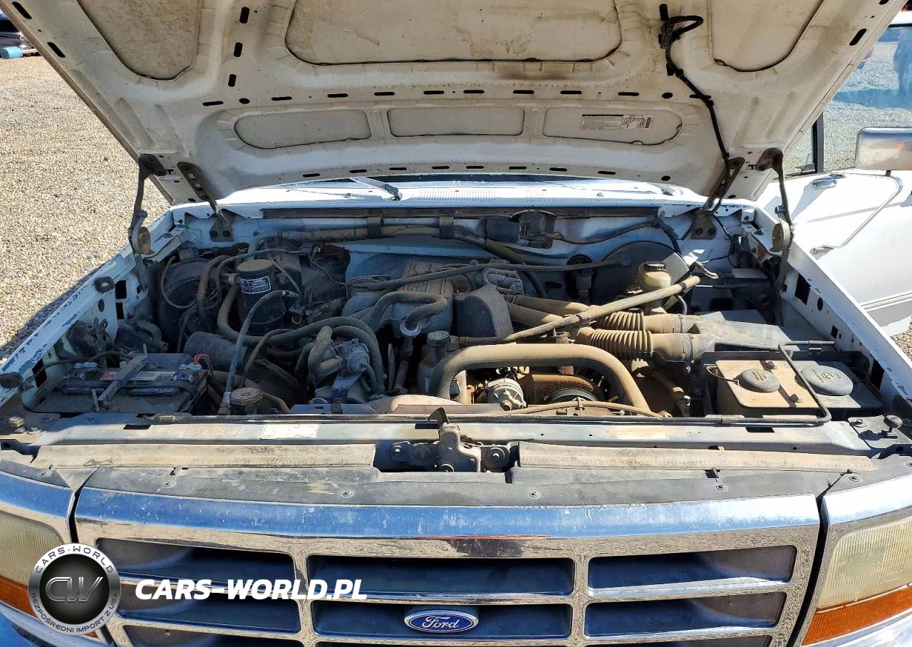 1993 Ford F150 VIN:1FTDF15Y6PLA55789 - 11