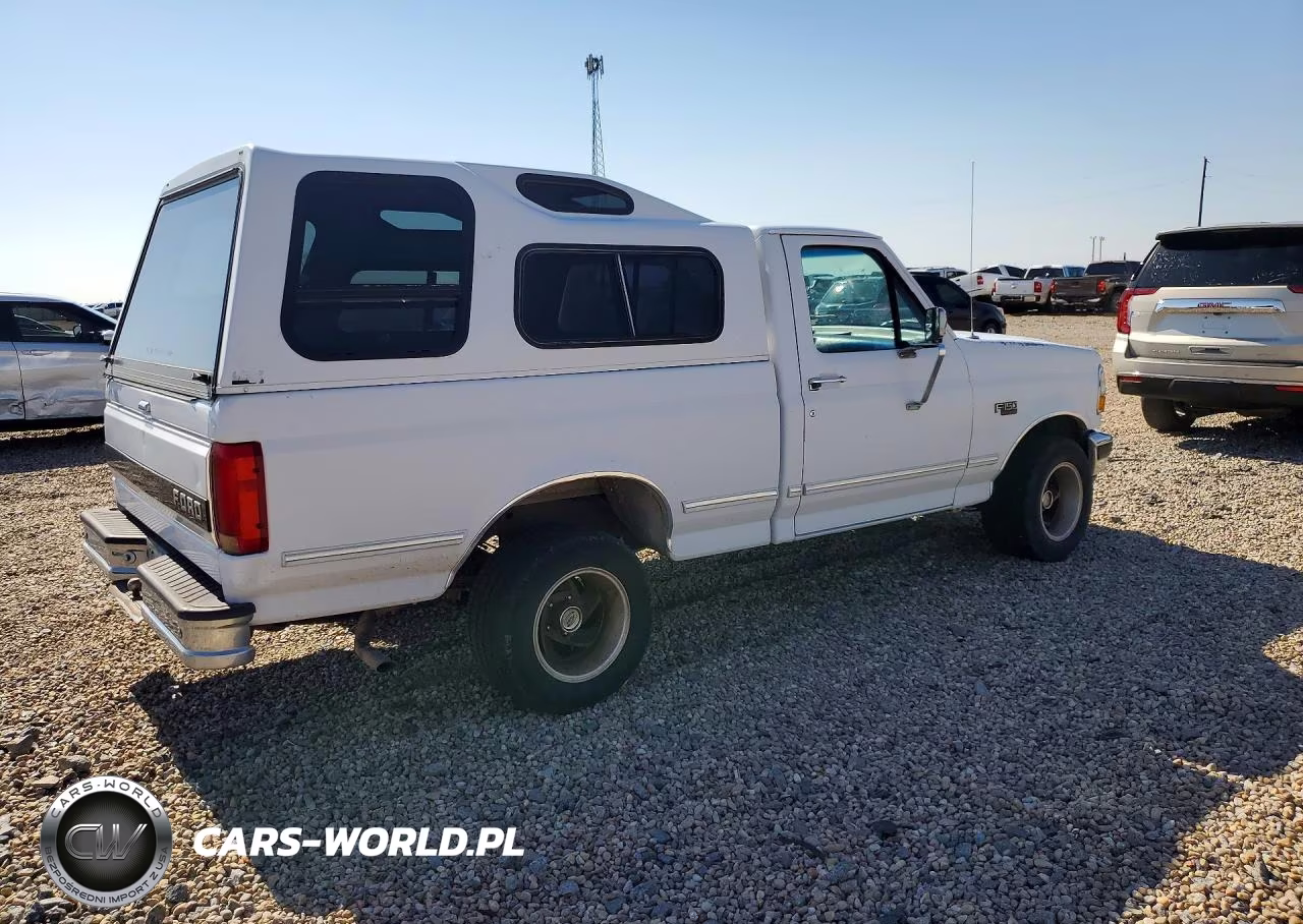 1993 Ford F150 VIN:1FTDF15Y6PLA55789 - 3