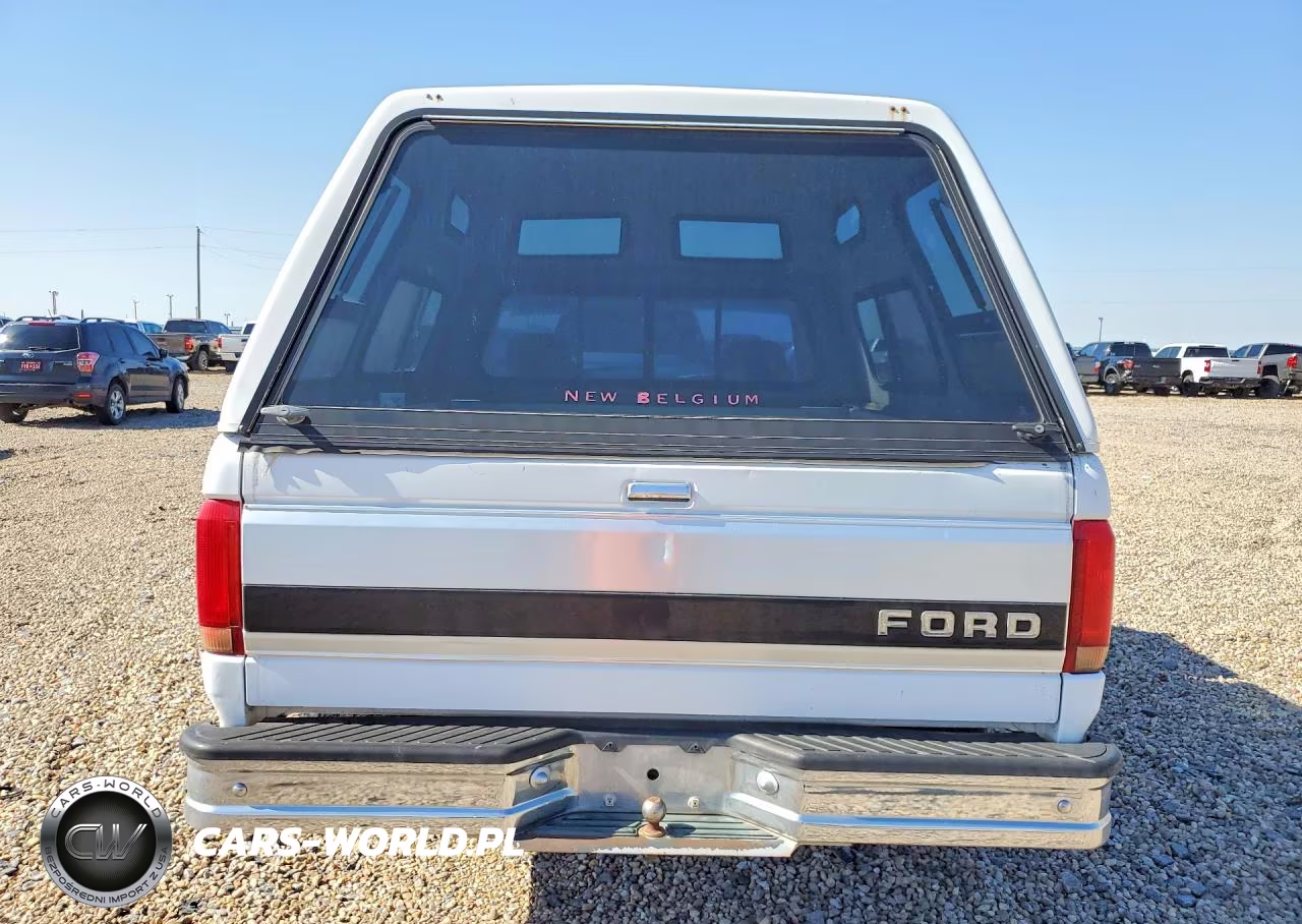 1993 Ford F150 VIN:1FTDF15Y6PLA55789 - 6