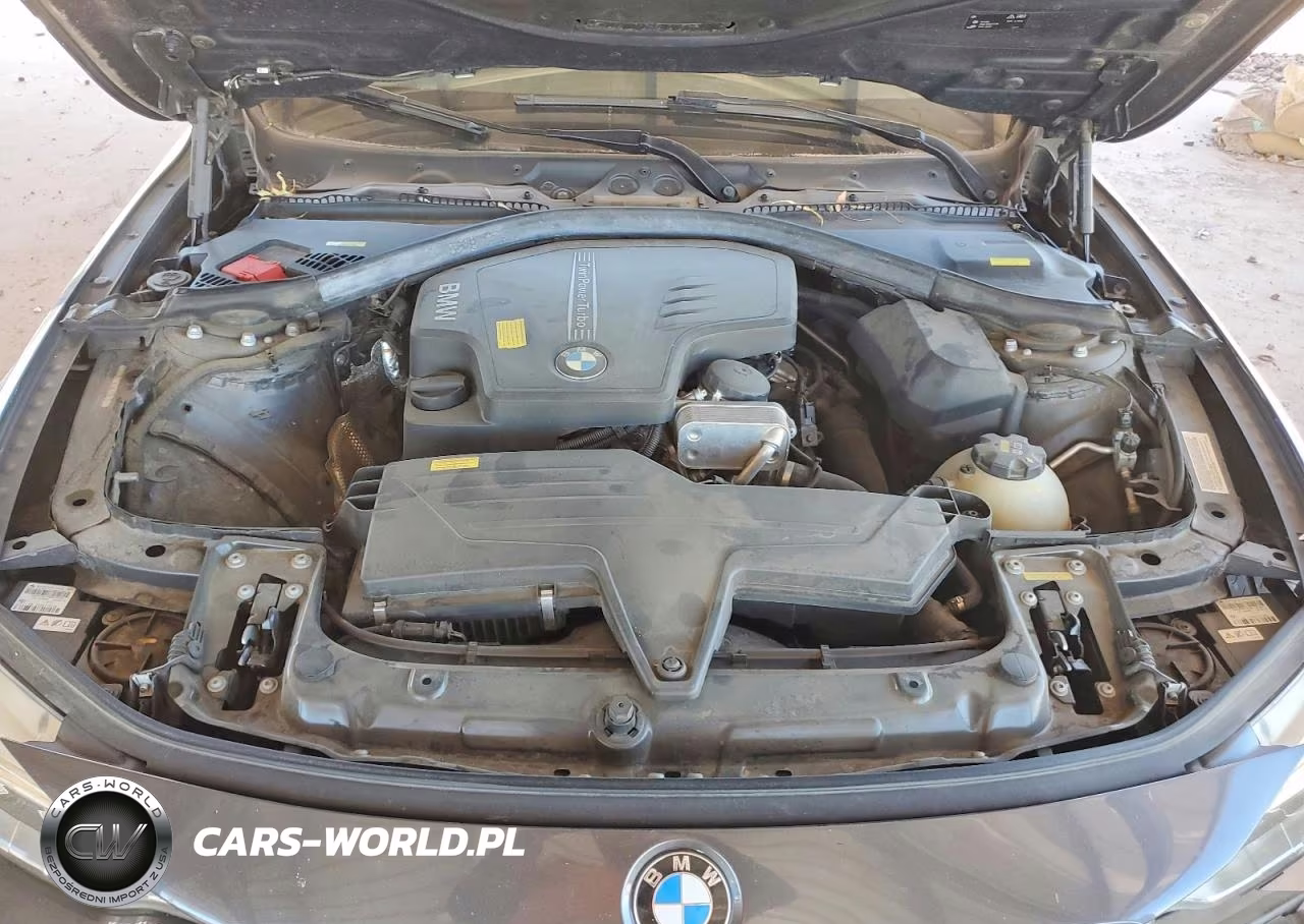 2015 BMW 428 Xi VIN:WBA3N9C5XFK247840 - 11