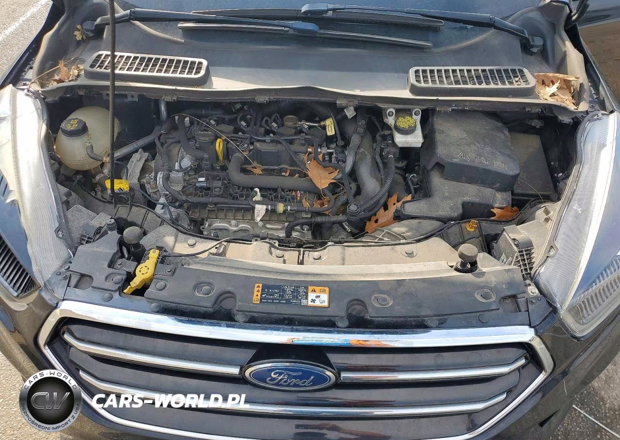 2019 Ford Escape Se VIN:1FMCU9GD6KUA73184 - 12