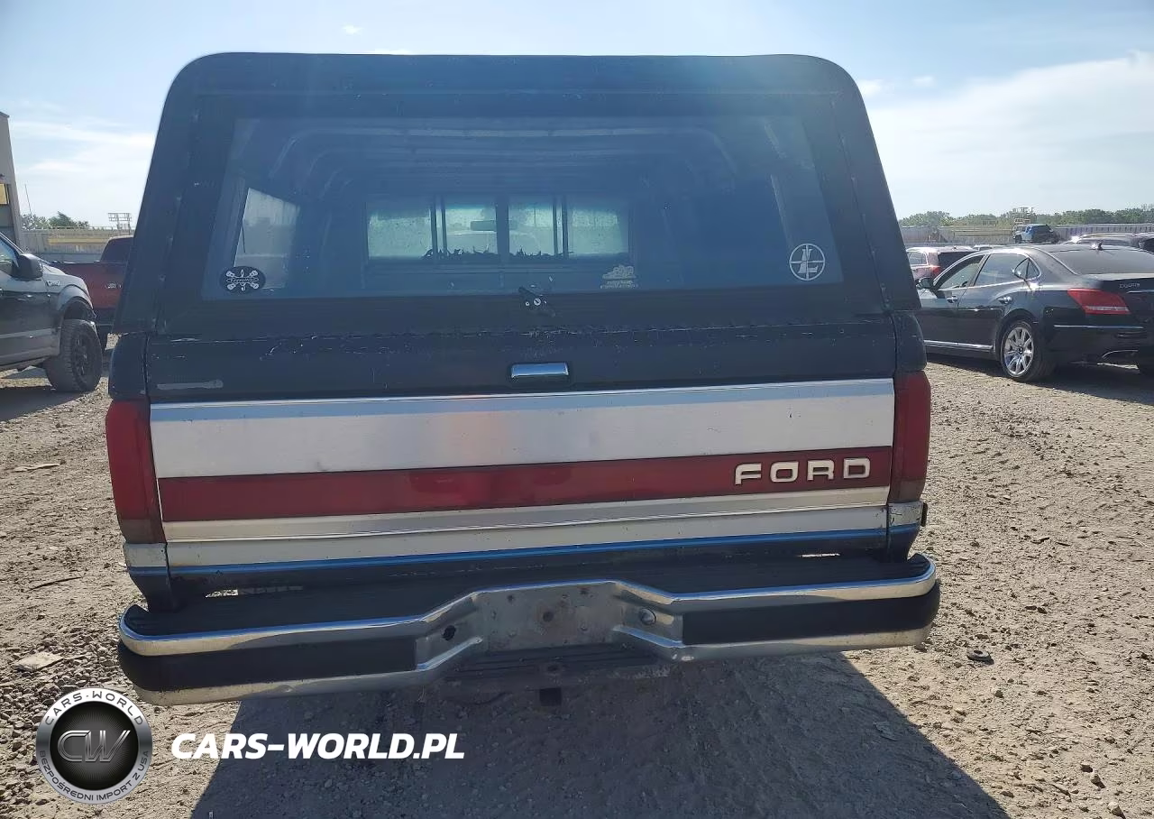 1991 Ford F150 VIN:1FTDF15Y4MKA37437 - 6