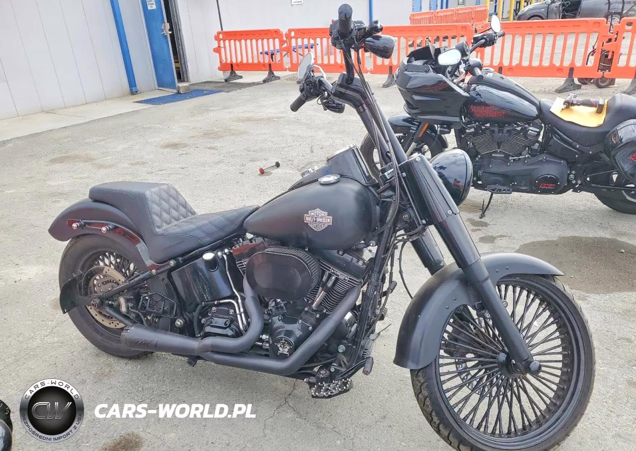 2013 Harley-Davidson Fls Softail Slim