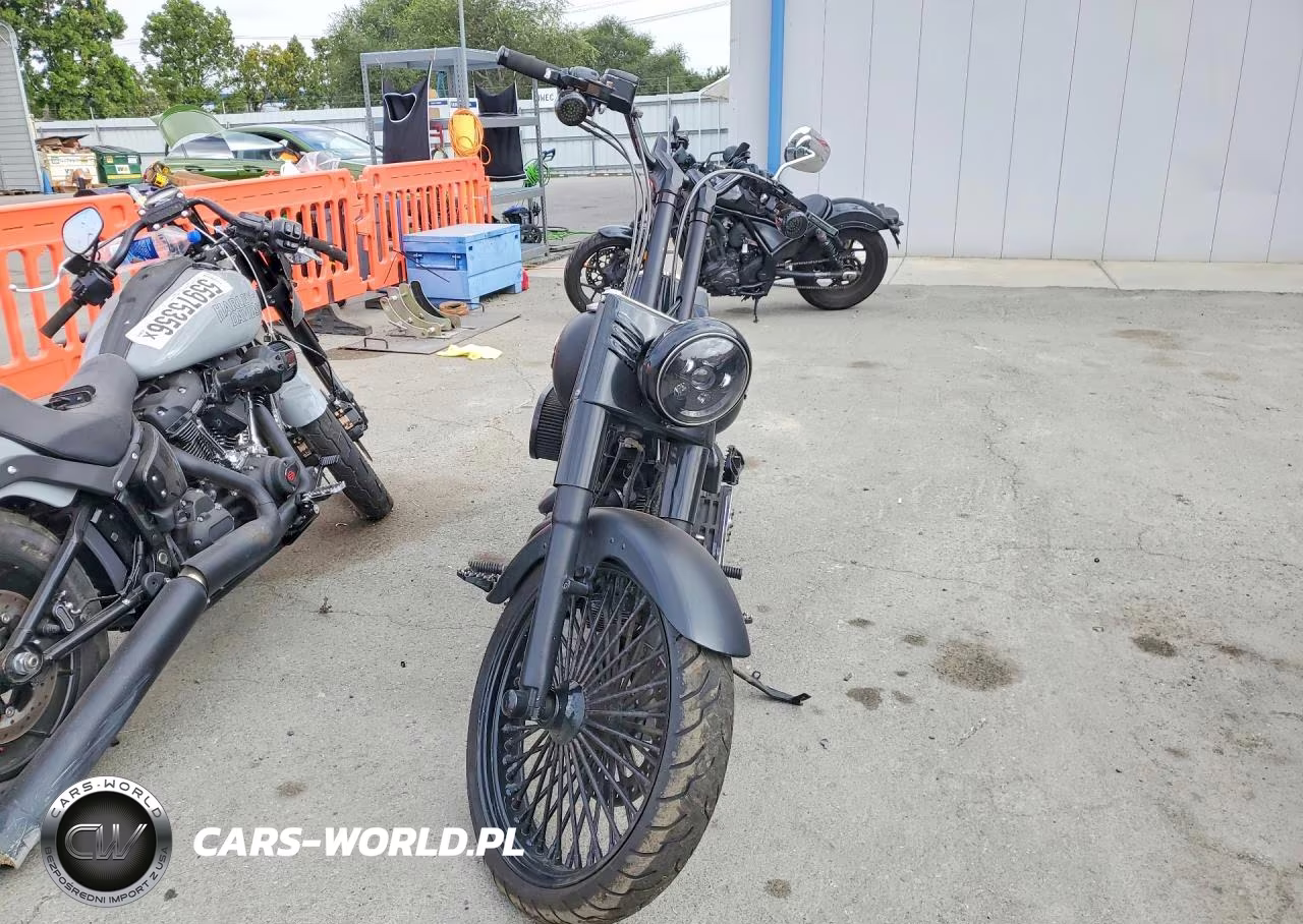 2013 Harley-Davidson Fls Softail Slim VIN:1HD1JRV16DB046951 - 2