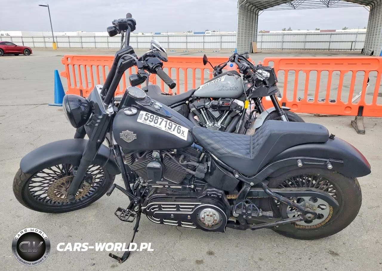 2013 Harley-Davidson Fls Softail Slim VIN:1HD1JRV16DB046951 - 3