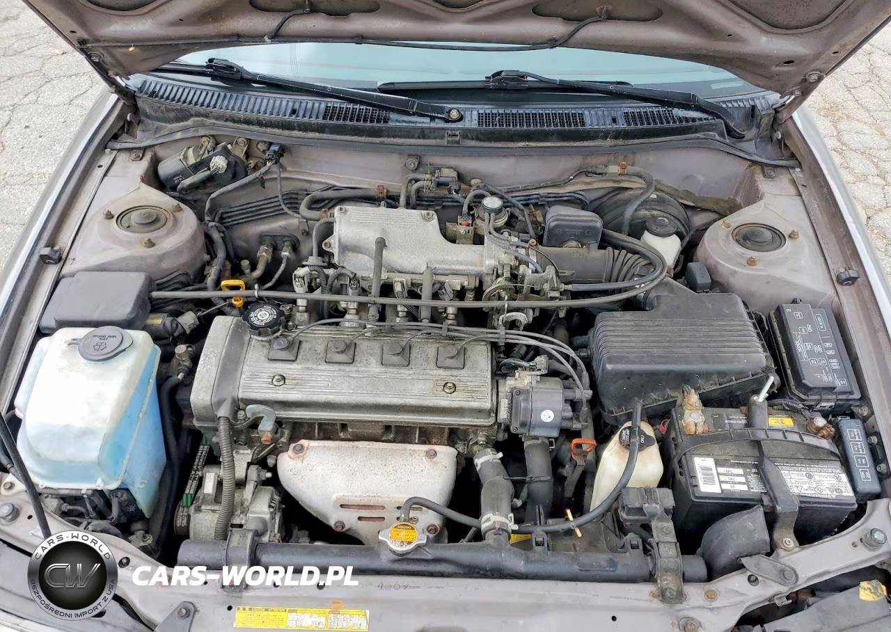 1995 Toyota Corolla Dx VIN:2T1AE09B8SC100740 - 11