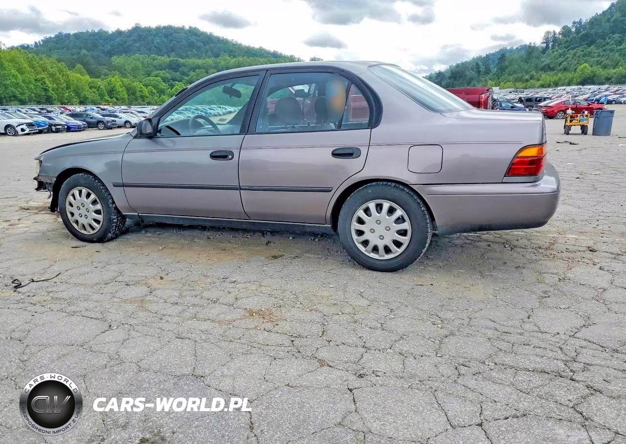 1995 Toyota Corolla Dx VIN:2T1AE09B8SC100740 - 2