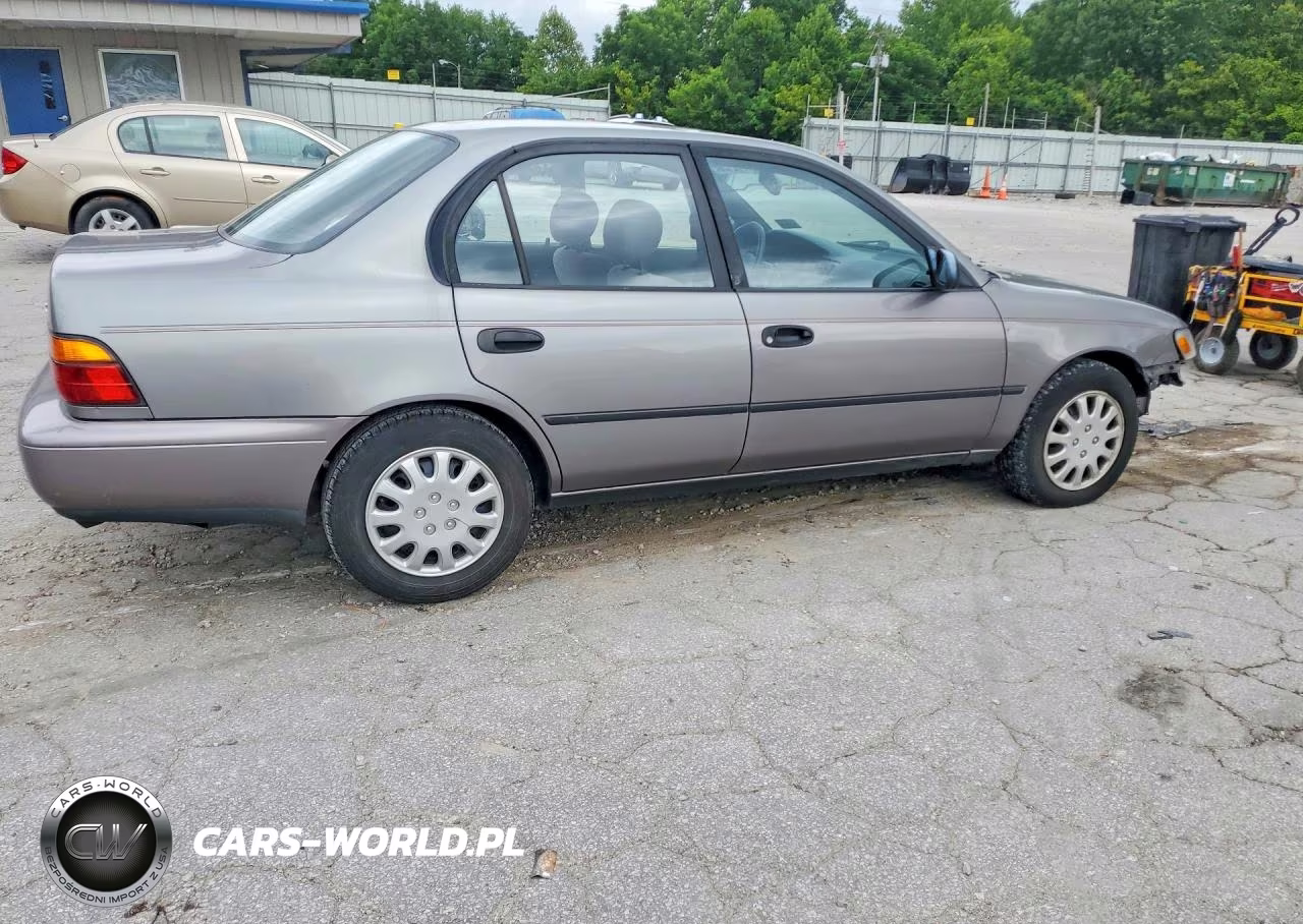 1995 Toyota Corolla Dx VIN:2T1AE09B8SC100740 - 3