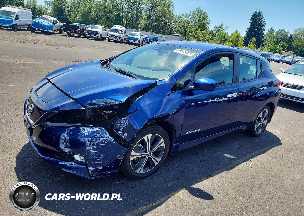 2019 Nissan Leaf Sv Plus