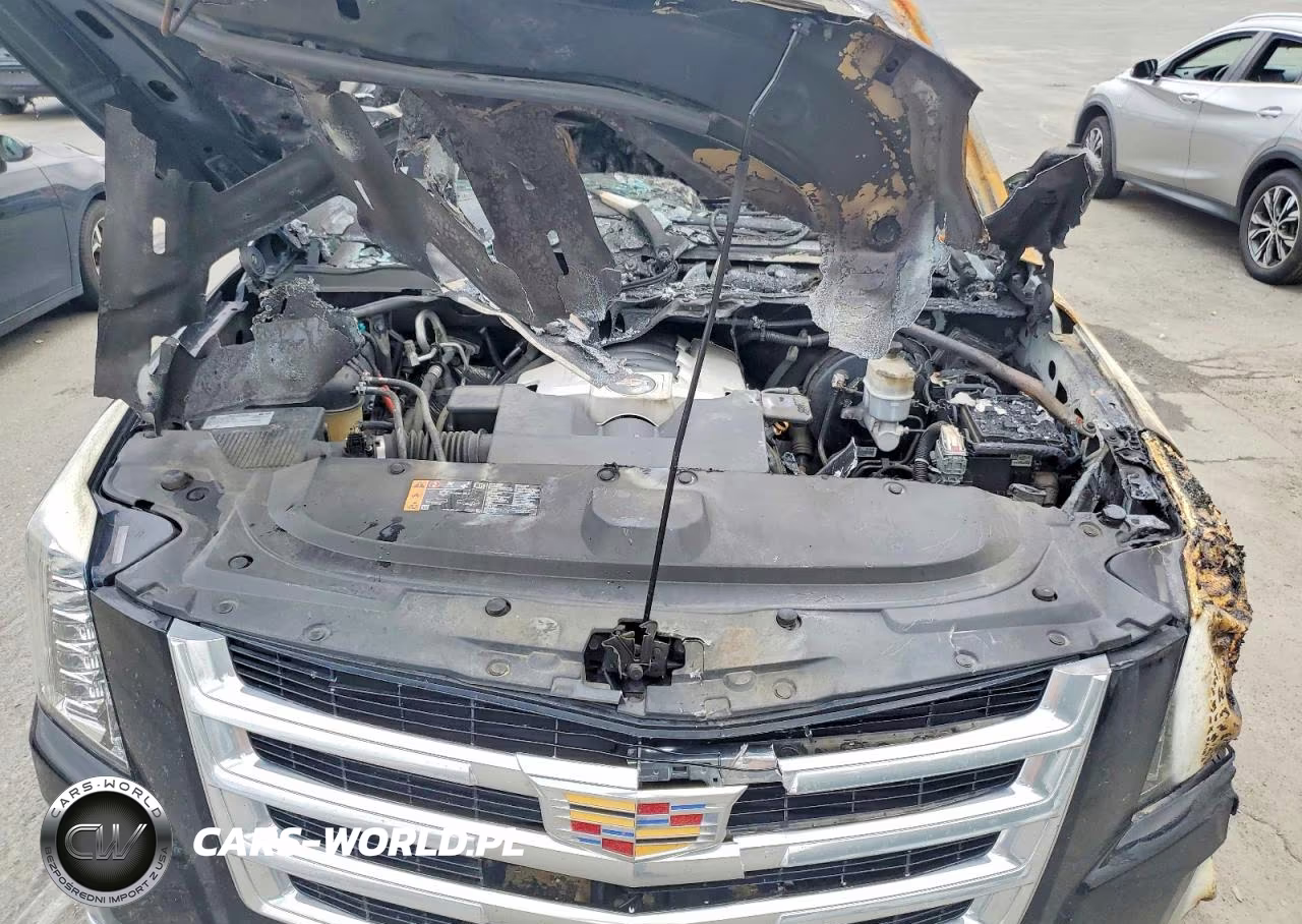 2020 Cadillac Escalade Luxury VIN:1GYS4BKJ3LR218359 - 12