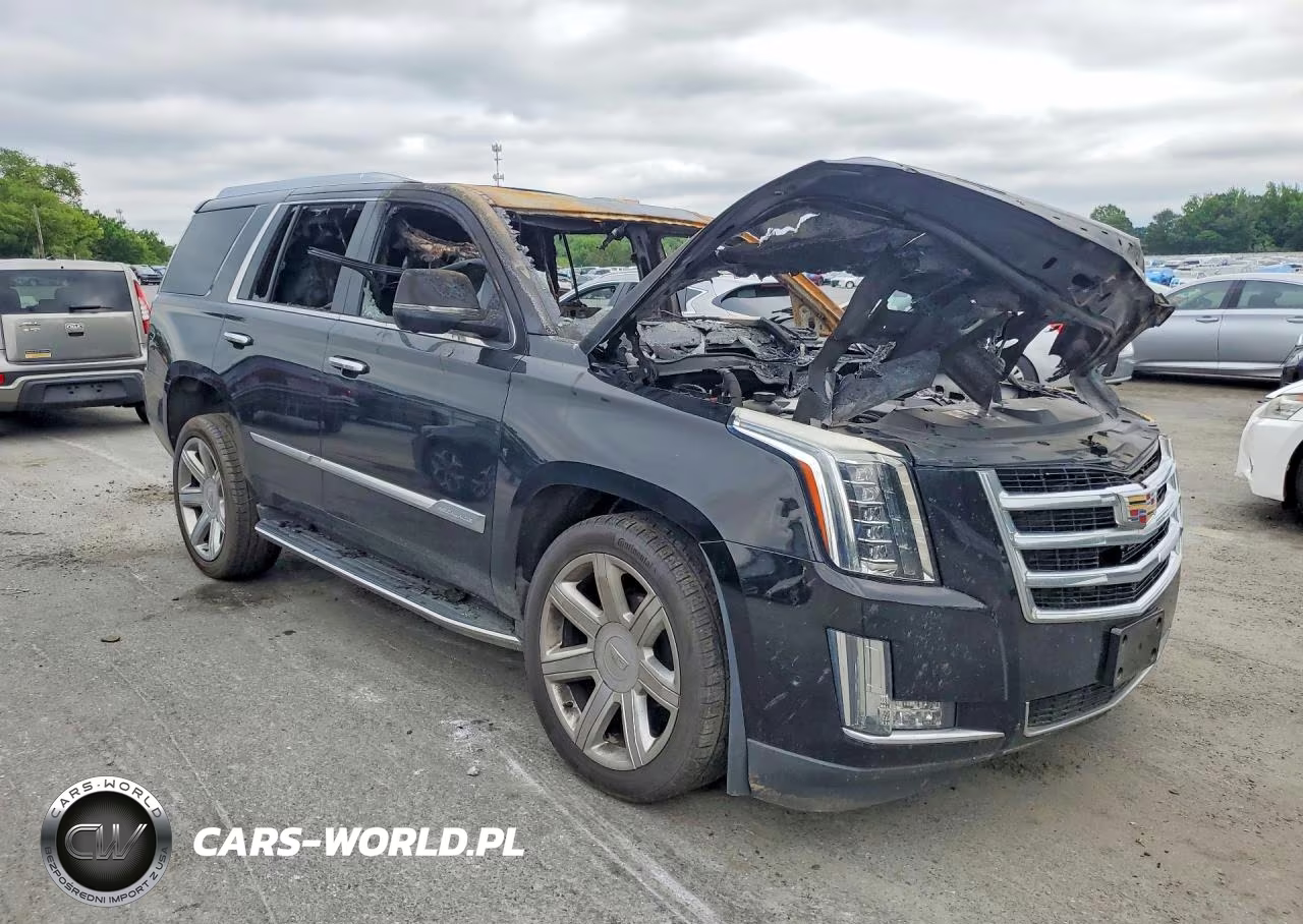 2020 Cadillac Escalade Luxury VIN:1GYS4BKJ3LR218359 - 4