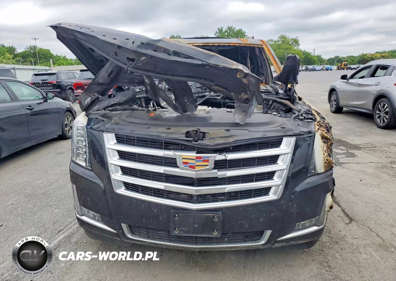 2020 Cadillac Escalade Luxury VIN:1GYS4BKJ3LR218359 - 5