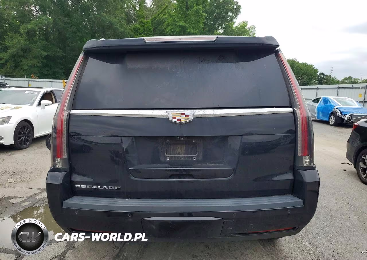 2020 Cadillac Escalade Luxury VIN:1GYS4BKJ3LR218359 - 6
