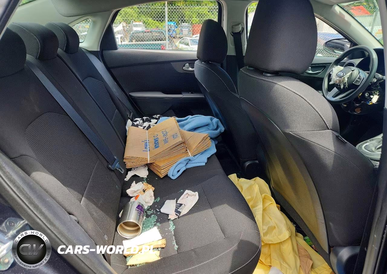 2019 Kia Forte VIN:3KPF24AD6KE097597 - 10
