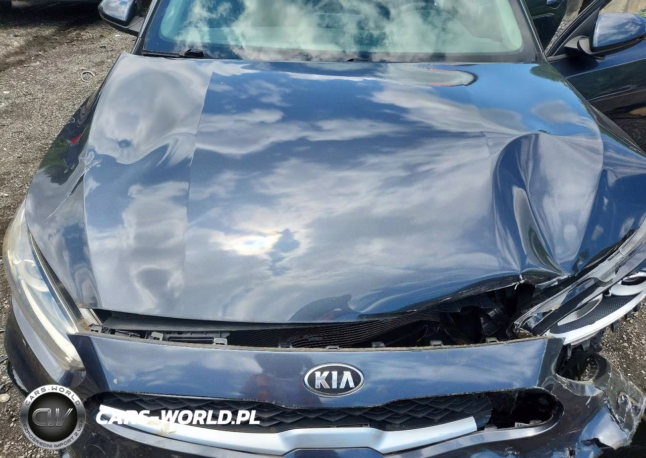 2019 Kia Forte VIN:3KPF24AD6KE097597 - 11