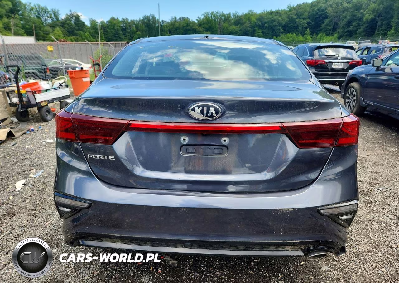 2019 Kia Forte VIN:3KPF24AD6KE097597 - 6