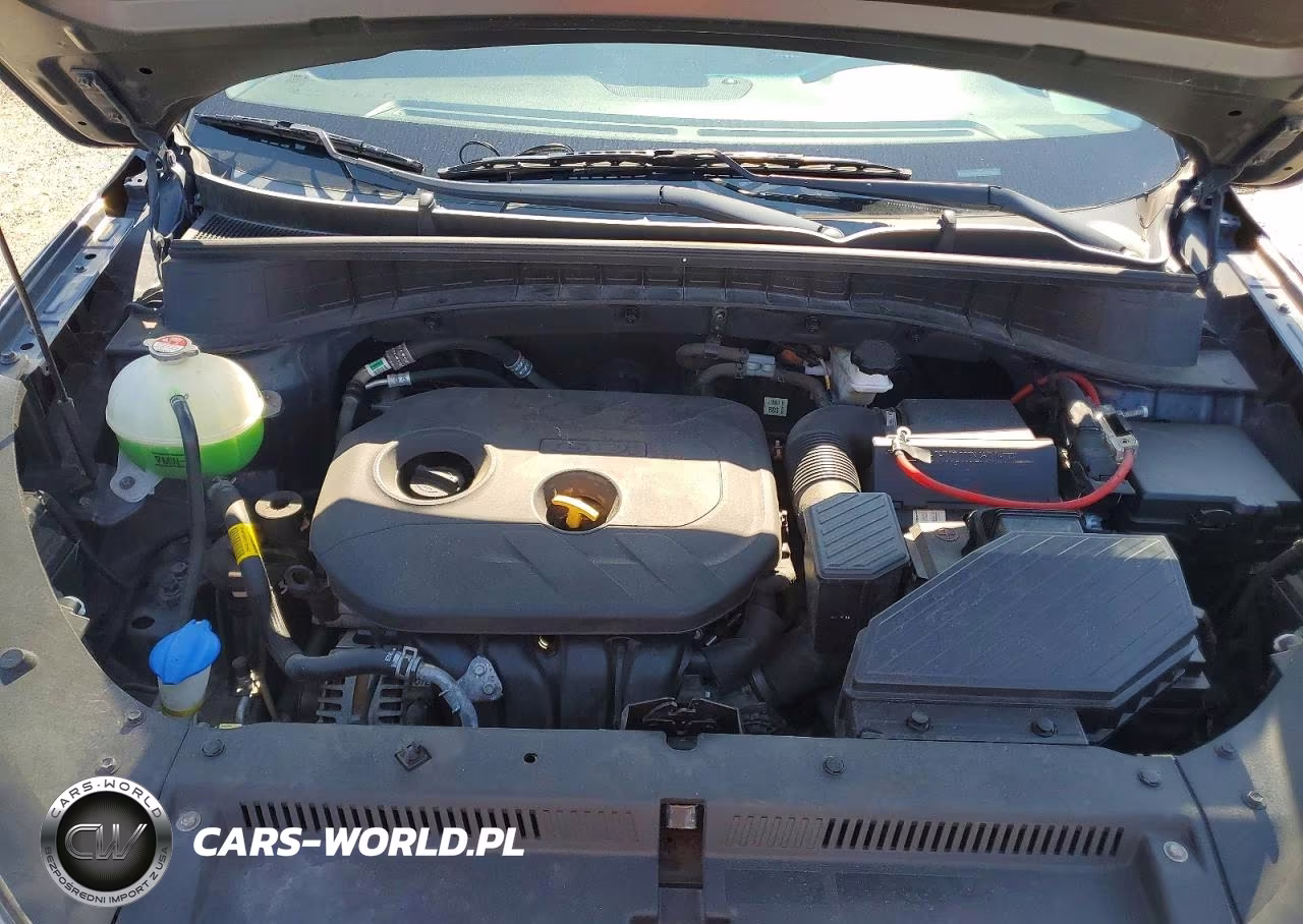 2019 Hyundai Tucson Value VIN:KM8J33A46KU010814 - 12