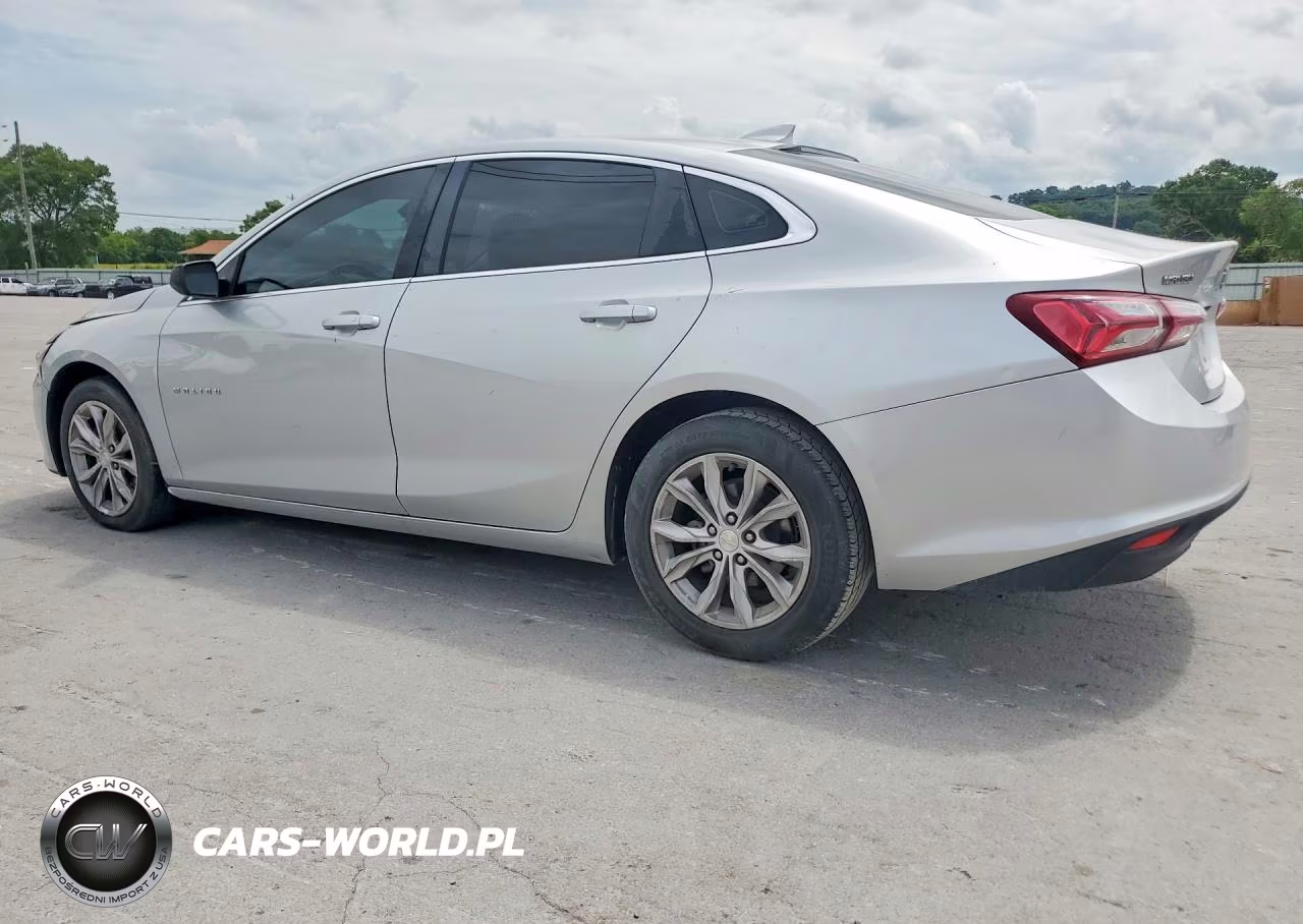 2019 Chevrolet Malibu Lt VIN:1G1ZD5ST8KF176643 - 2