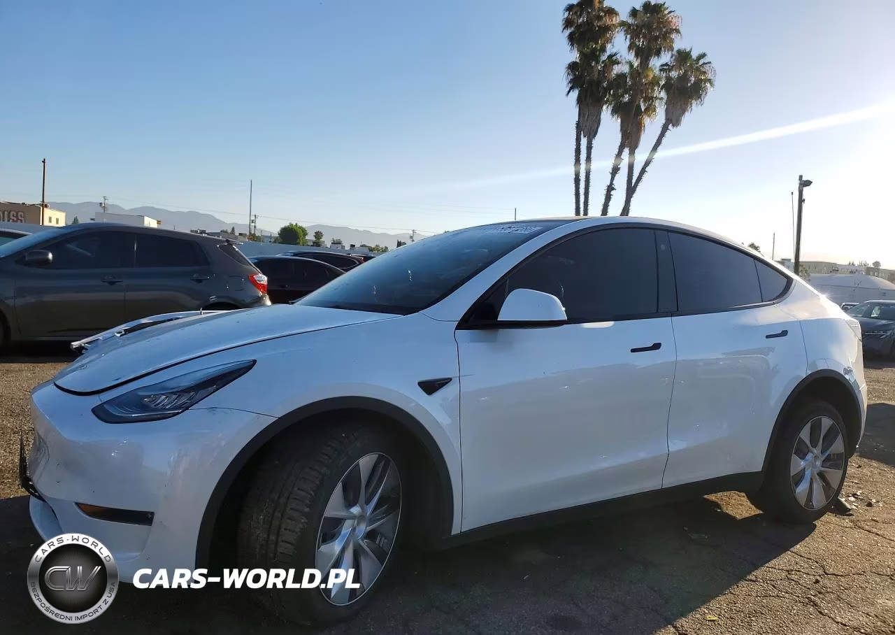 2023 Tesla Model Y VIN:7SAYGDEE9PA066195 - 1