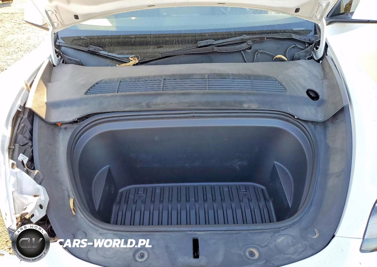 2023 Tesla Model Y VIN:7SAYGDEE9PA066195 - 11