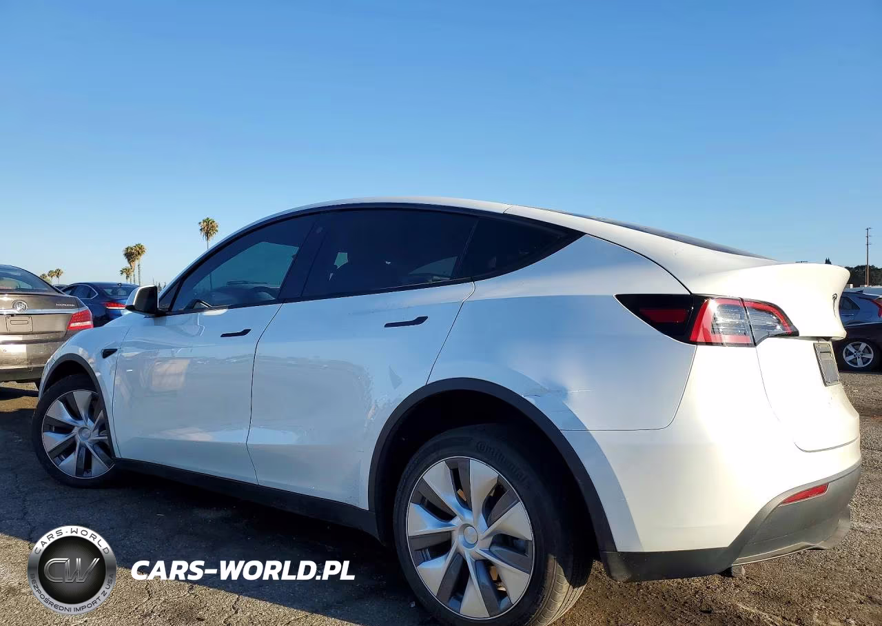 2023 Tesla Model Y VIN:7SAYGDEE9PA066195 - 2