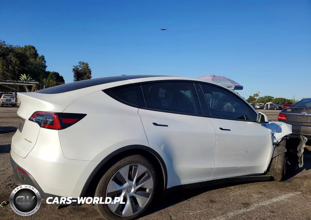 2023 Tesla Model Y VIN:7SAYGDEE9PA066195 - 3