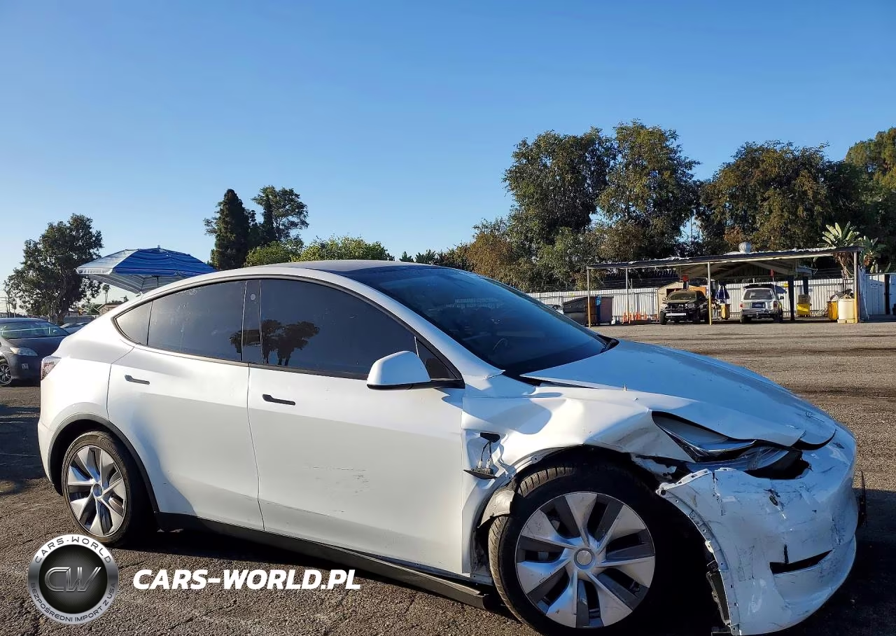 2023 Tesla Model Y VIN:7SAYGDEE9PA066195 - 4