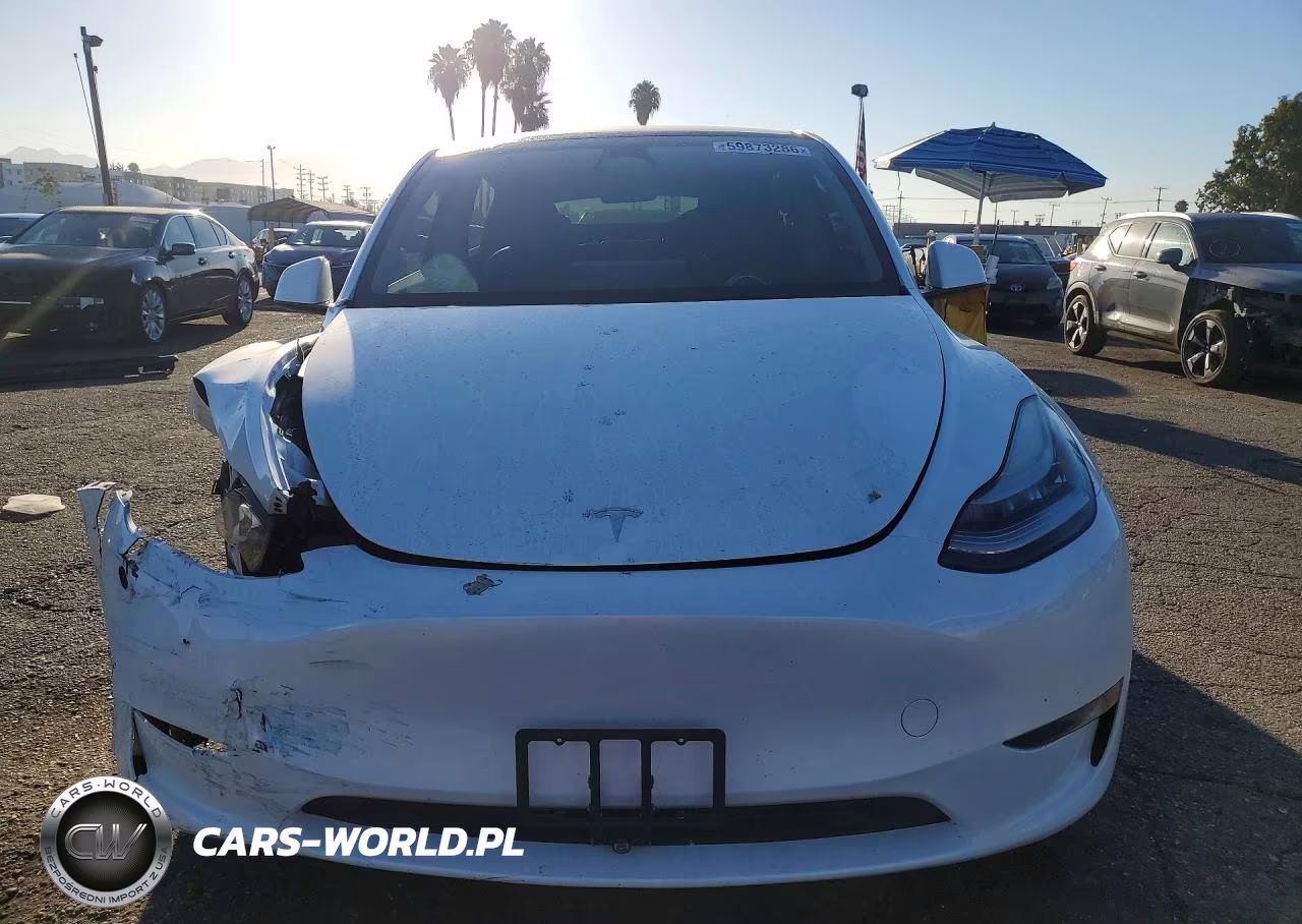 2023 Tesla Model Y VIN:7SAYGDEE9PA066195 - 5
