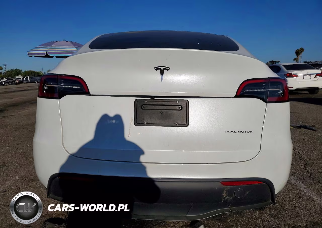 2023 Tesla Model Y VIN:7SAYGDEE9PA066195 - 6