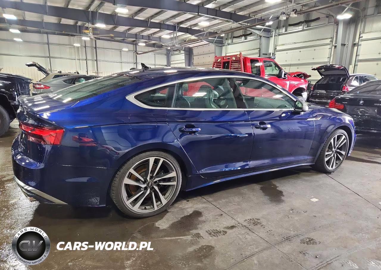 2025 Audi S5 Premium Plus VIN:WAUC4CF52SA003997 - 3