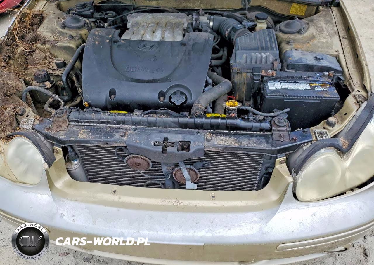 2004 Hyundai Sonata Gl VIN:KMHWF25H94A941106 - 11