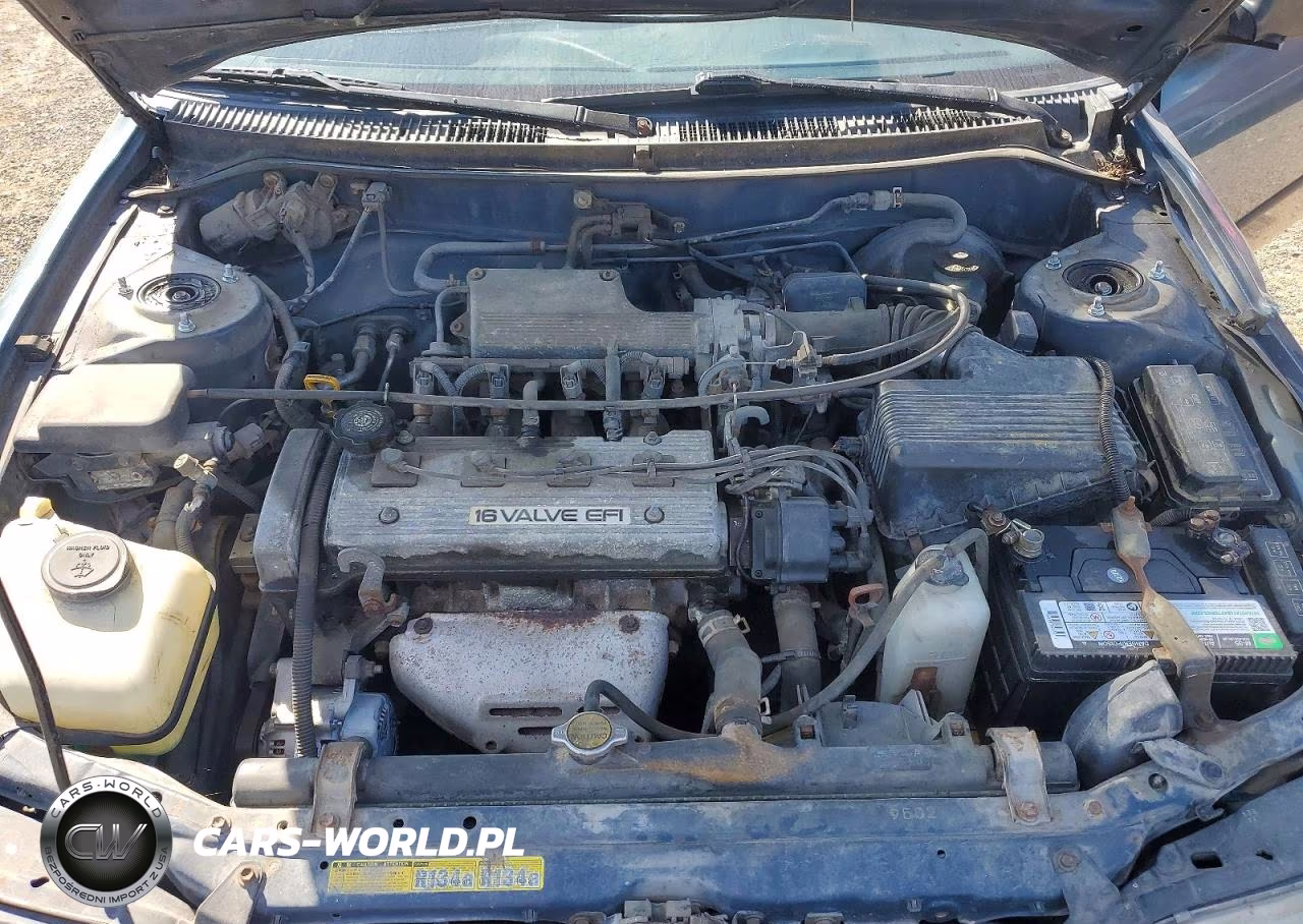 1994 Toyota Corolla Dx VIN:1NXAE09B0RZ209895 - 11