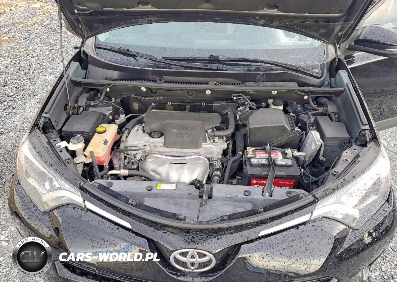 2016 Toyota Rav4 Xle VIN:2T3WFREV1GW242903 - 12