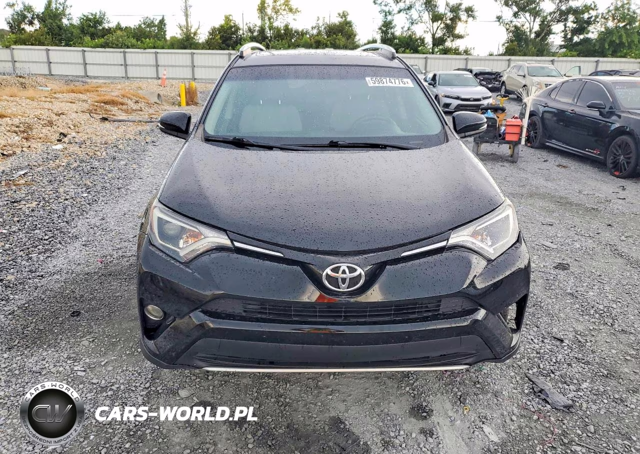 2016 Toyota Rav4 Xle VIN:2T3WFREV1GW242903 - 5
