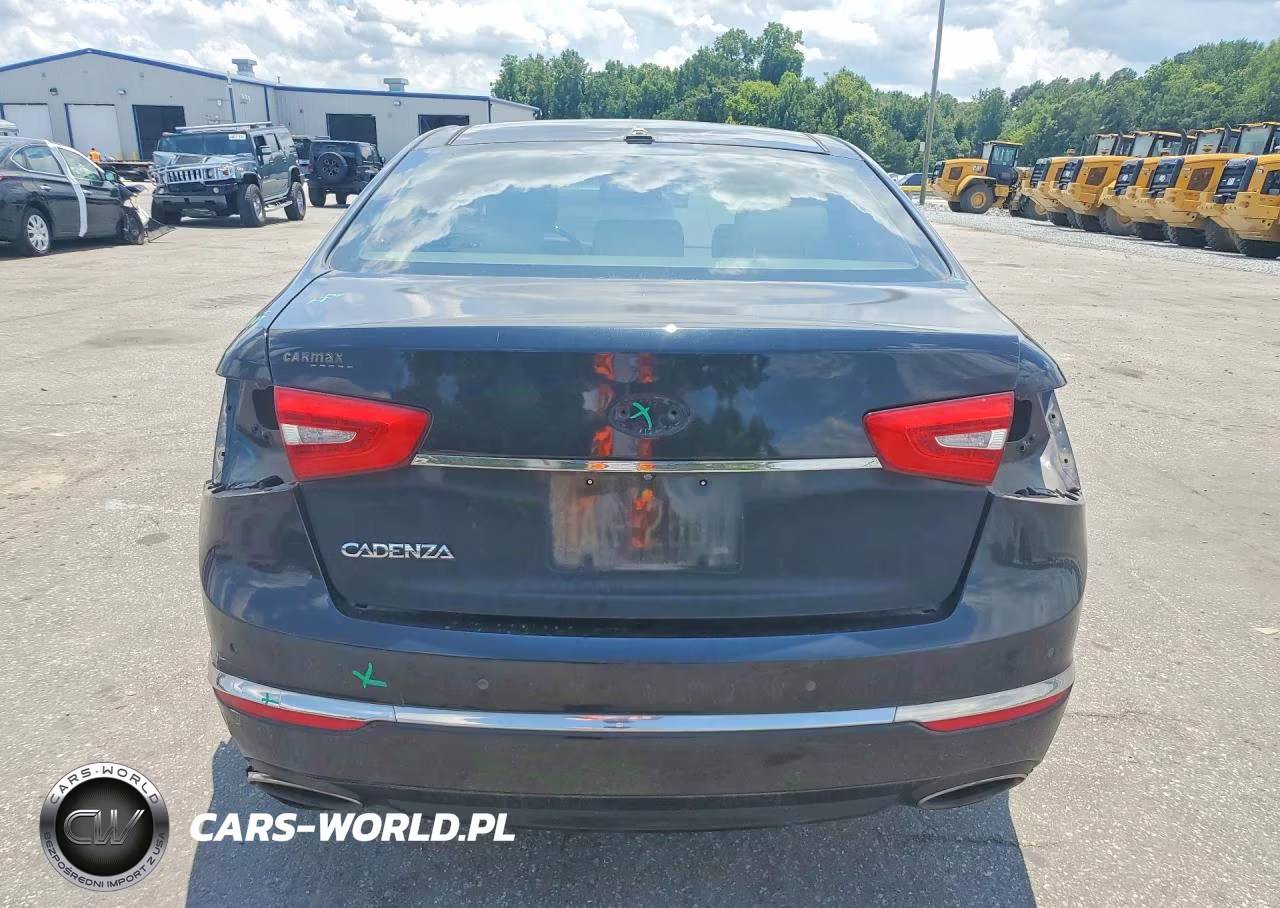 2015 Kia Cadenza Premium VIN:KNALN4D77F5177604 - 6