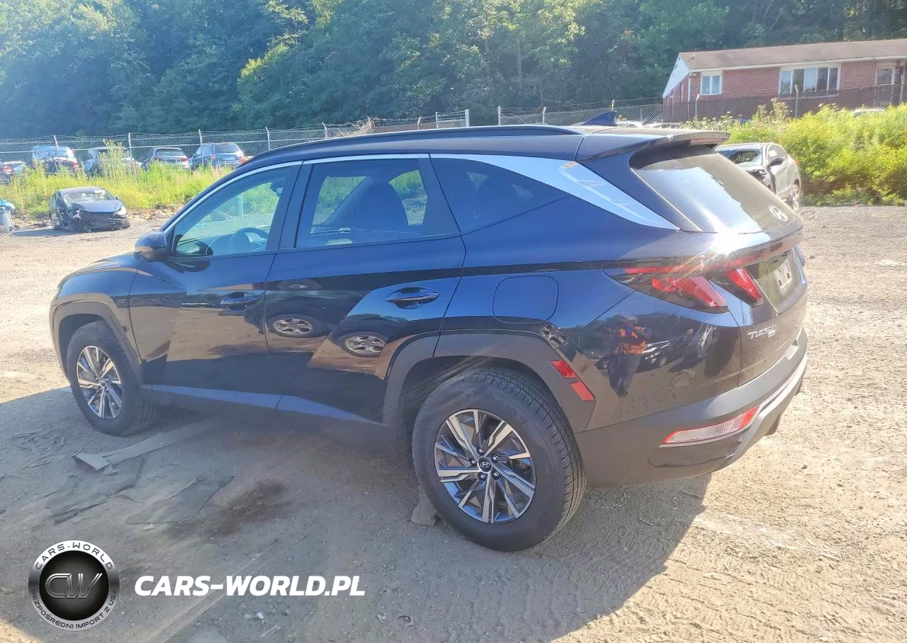 2024 Hyundai Tucson Blue VIN:KM8JBCD13RU191658 - 2