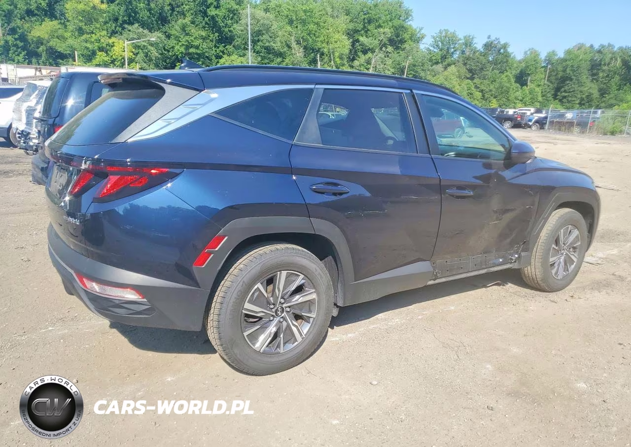 2024 Hyundai Tucson Blue VIN:KM8JBCD13RU191658 - 3