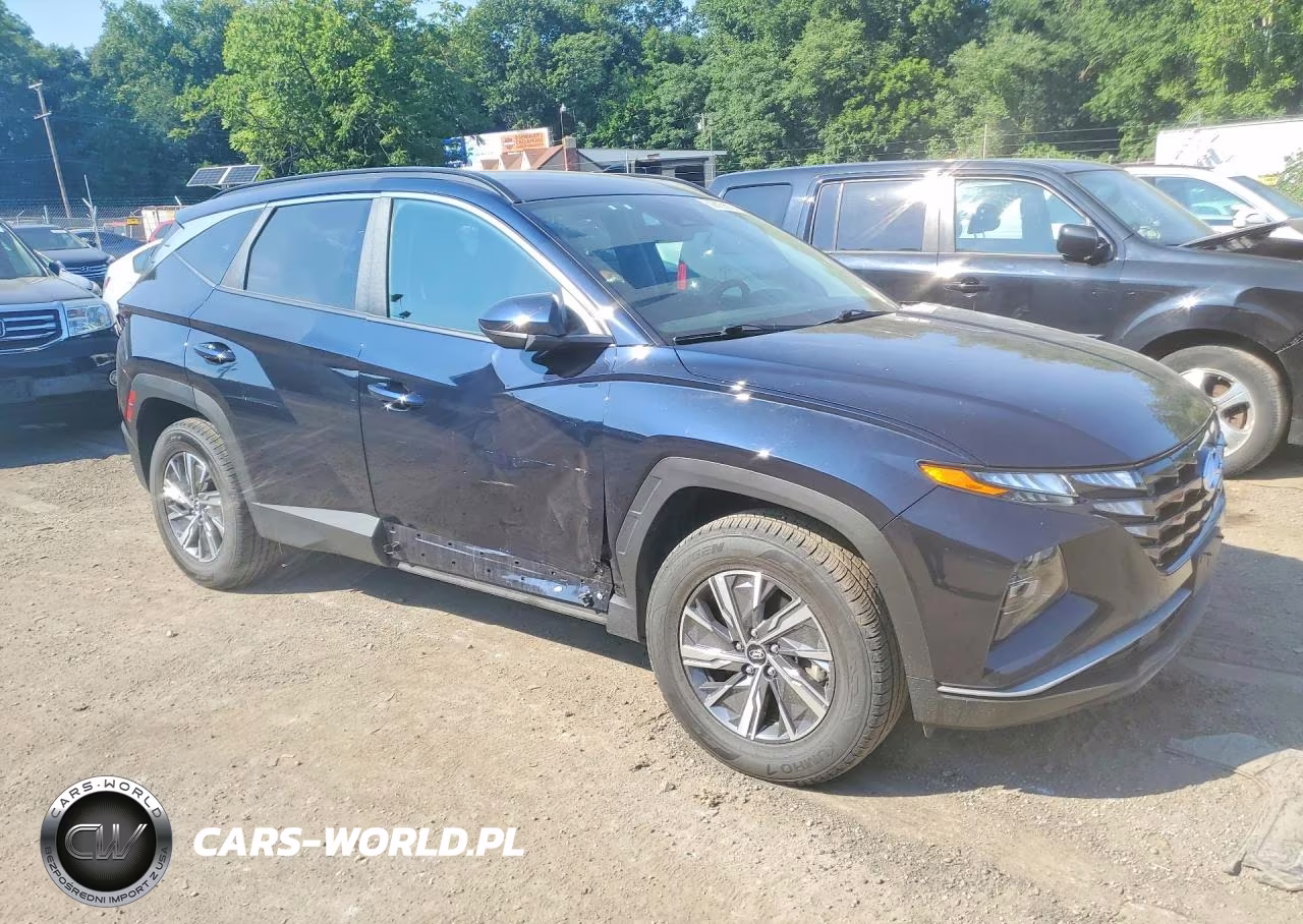 2024 Hyundai Tucson Blue VIN:KM8JBCD13RU191658 - 4