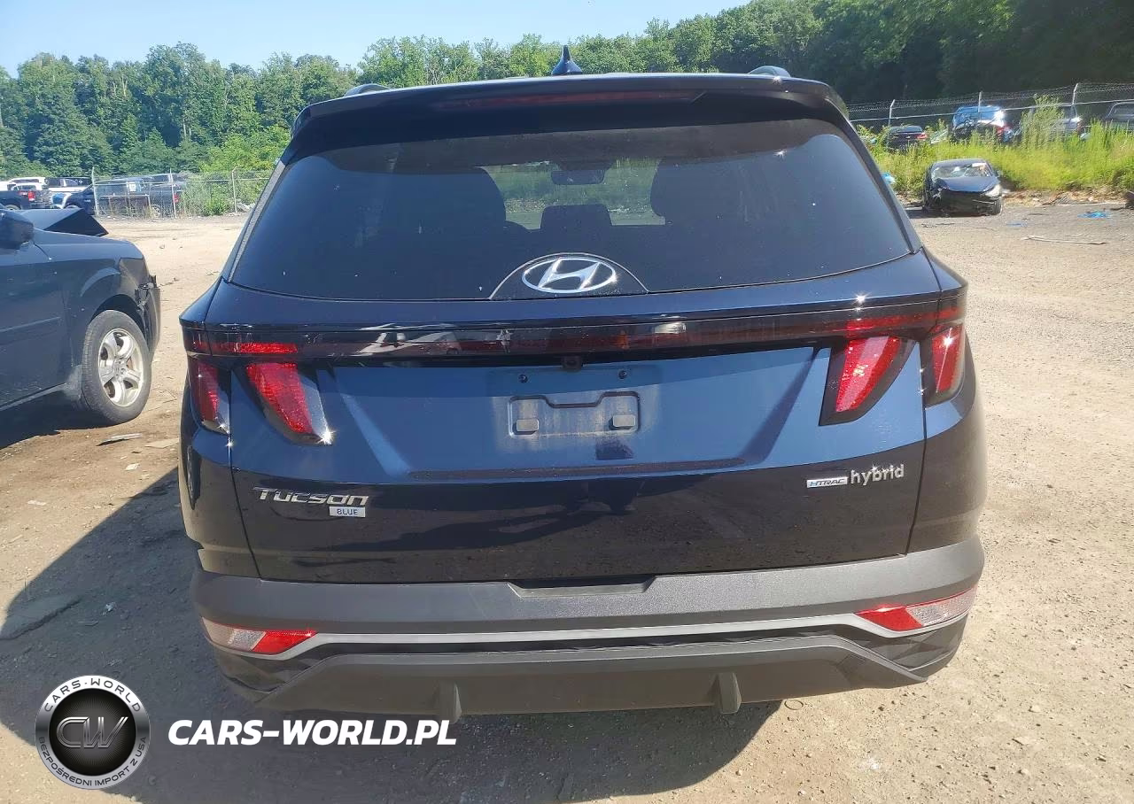2024 Hyundai Tucson Blue VIN:KM8JBCD13RU191658 - 6