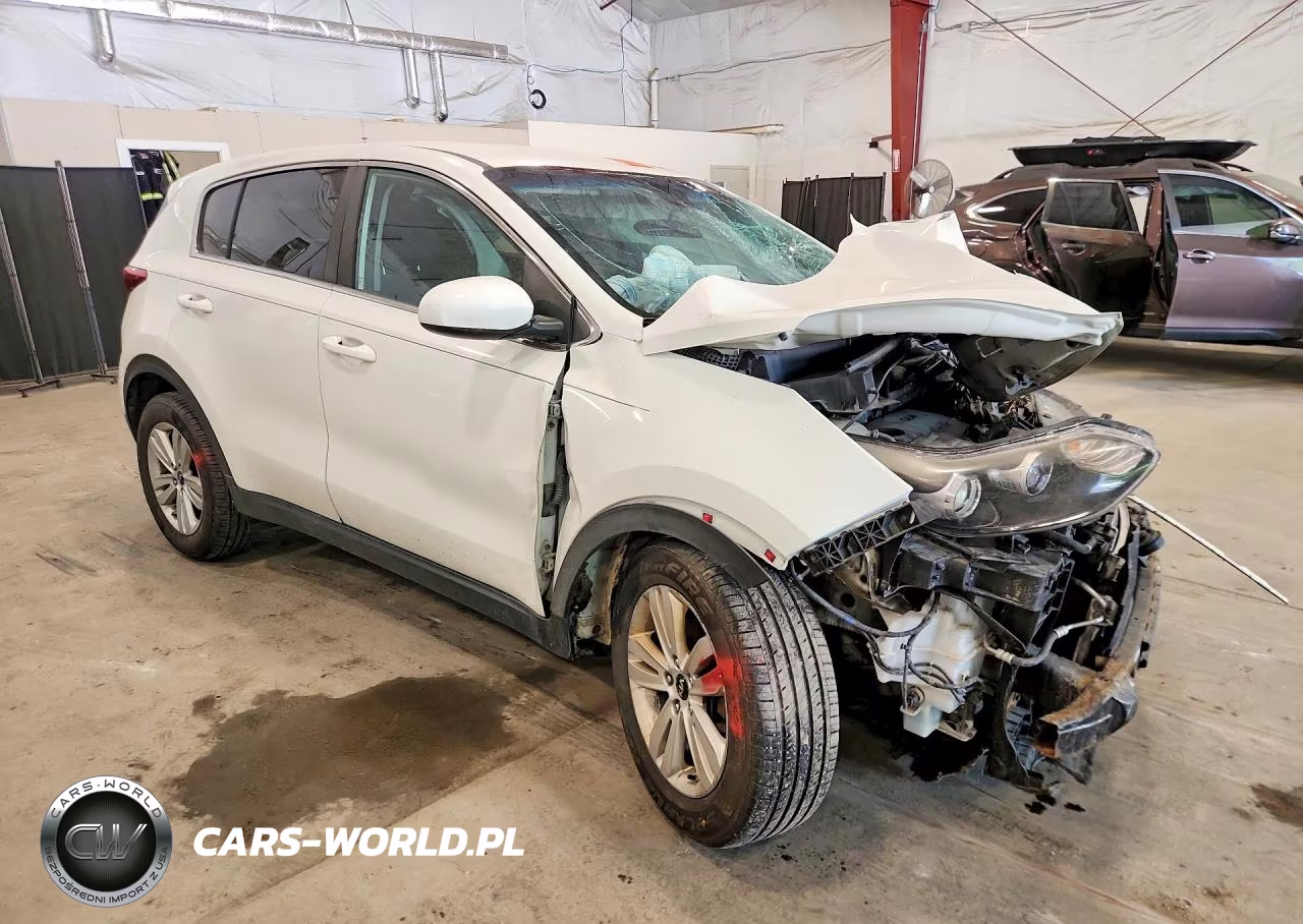 2017 Kia Sportage Lx VIN:KNDPM3AC9H7184225 - 4