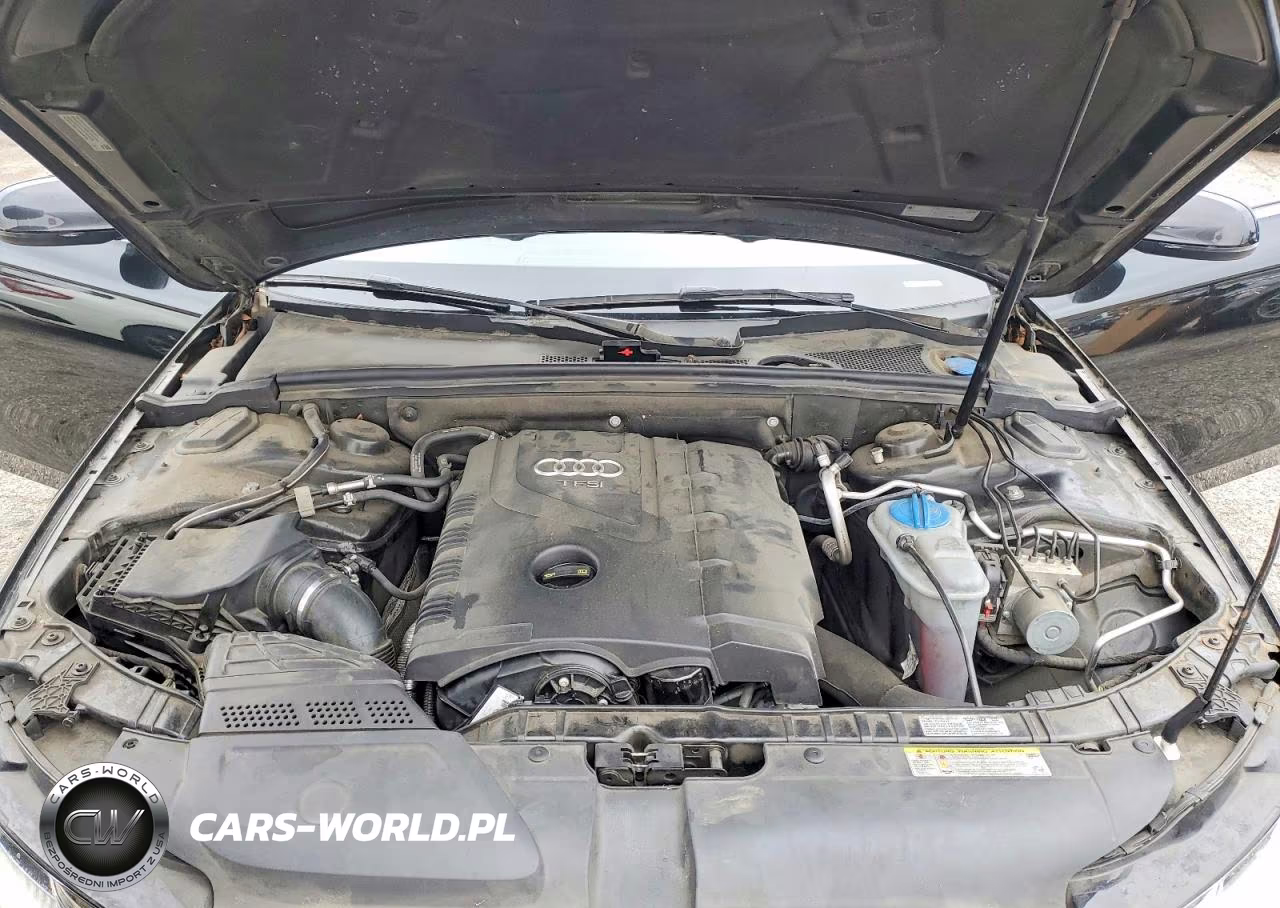 2015 Audi A4 Premium Plus VIN:WAUFFAFL6FN045596 - 11