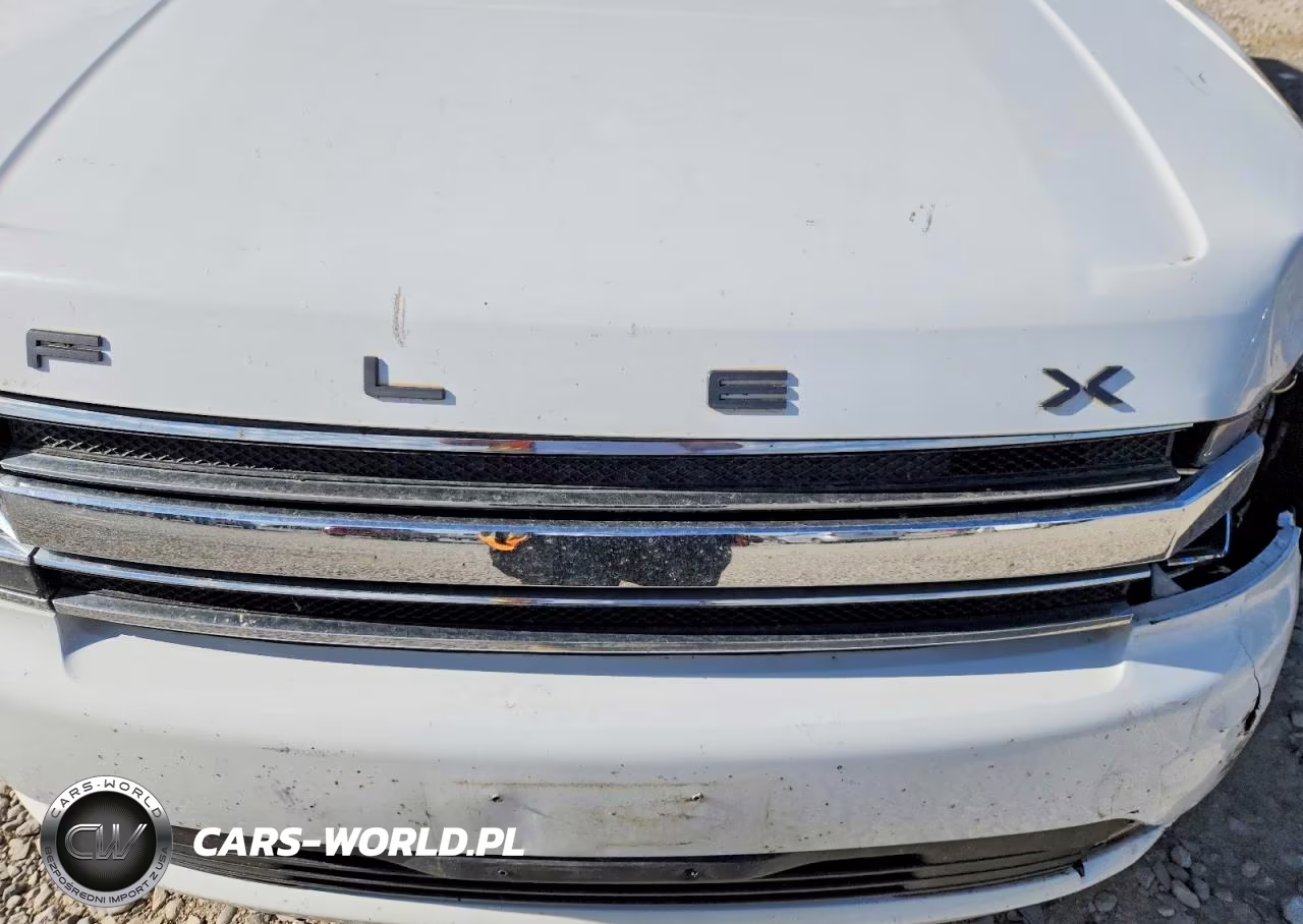 2019 Ford Flex Sel VIN:2FMGK5C80KBA16798 - 11