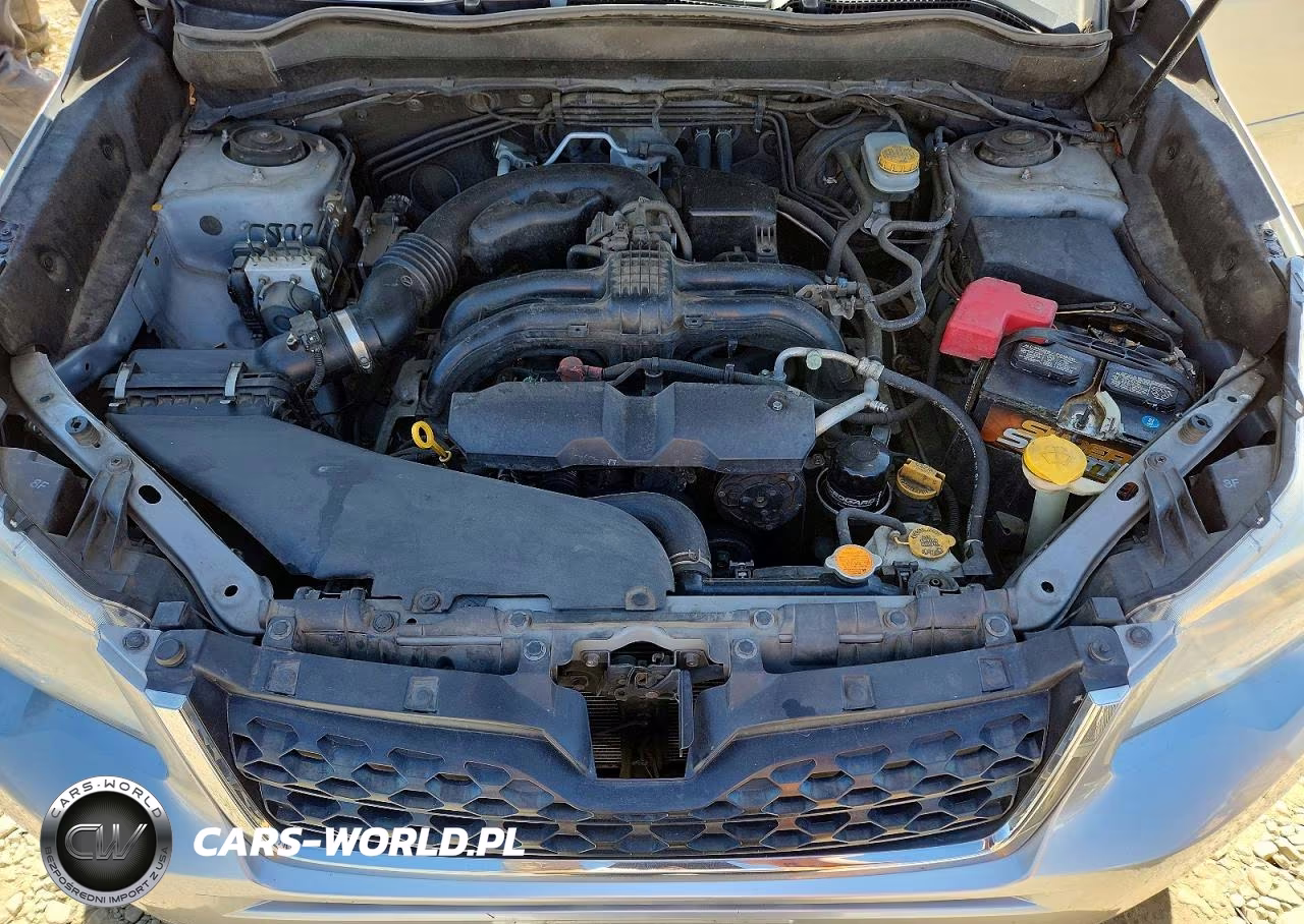 2014 Subaru Forester 2.5I Premium VIN:JF2SJAEC5EH442989 - 12