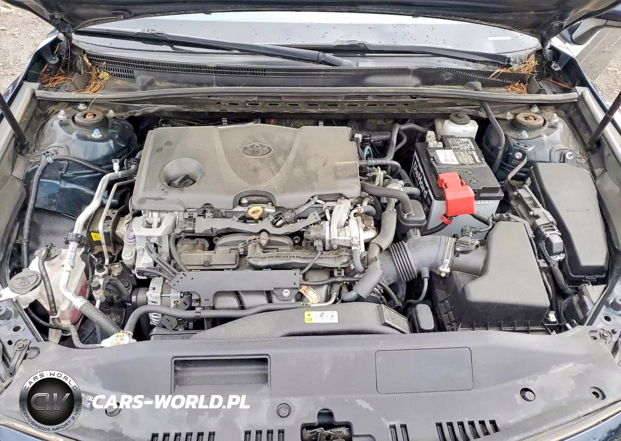 2019 Toyota Camry Se VIN:4T1B11HK3KU809890 - 11