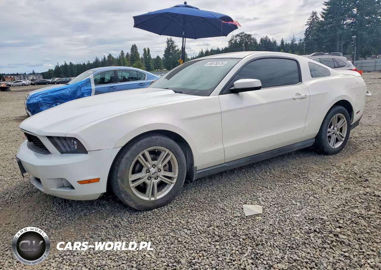 2010 Ford Mustang – zdjęcie 1 z 12
