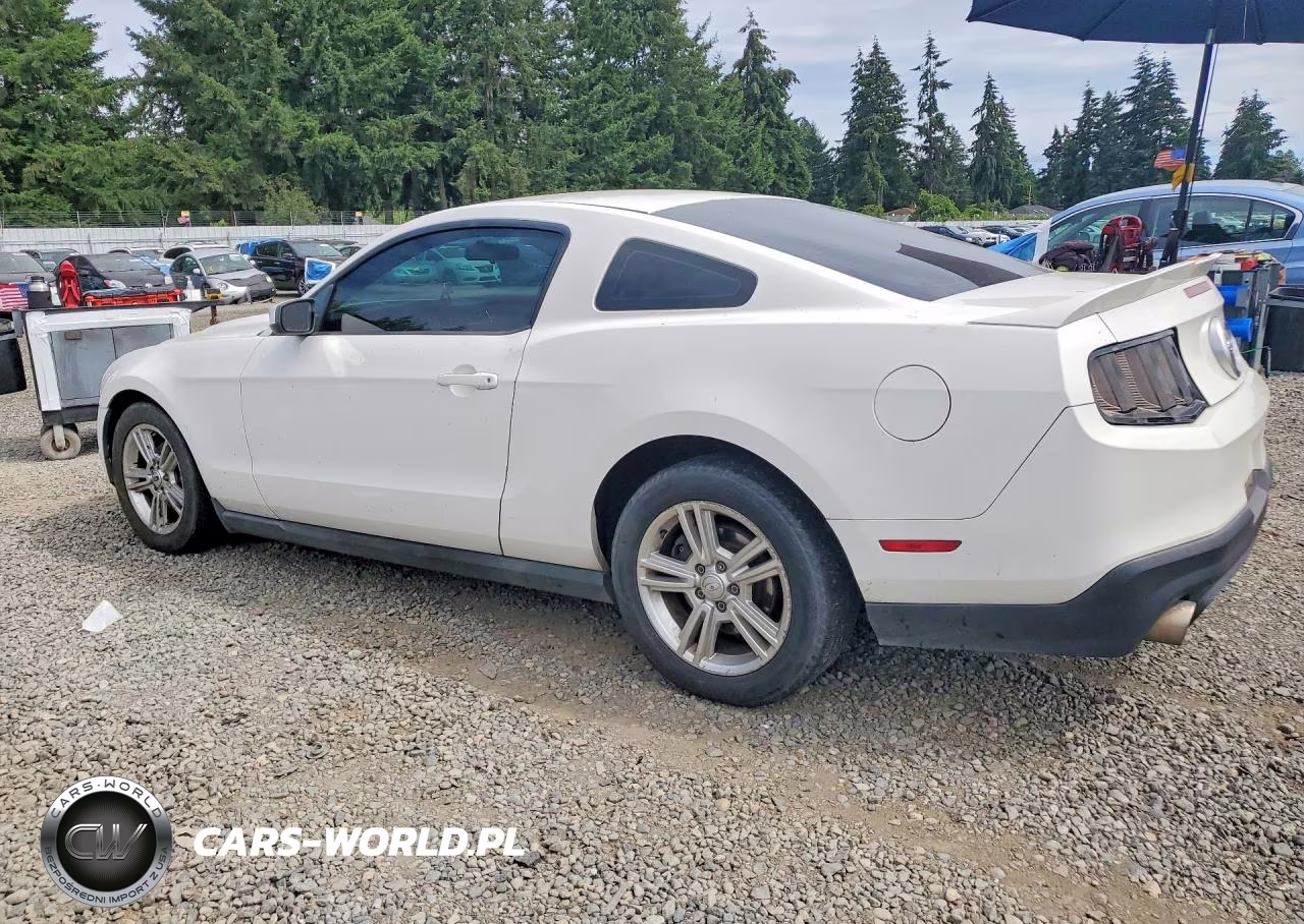 2010 Ford Mustang VIN:1ZVBP8AN5A5146862 - 2