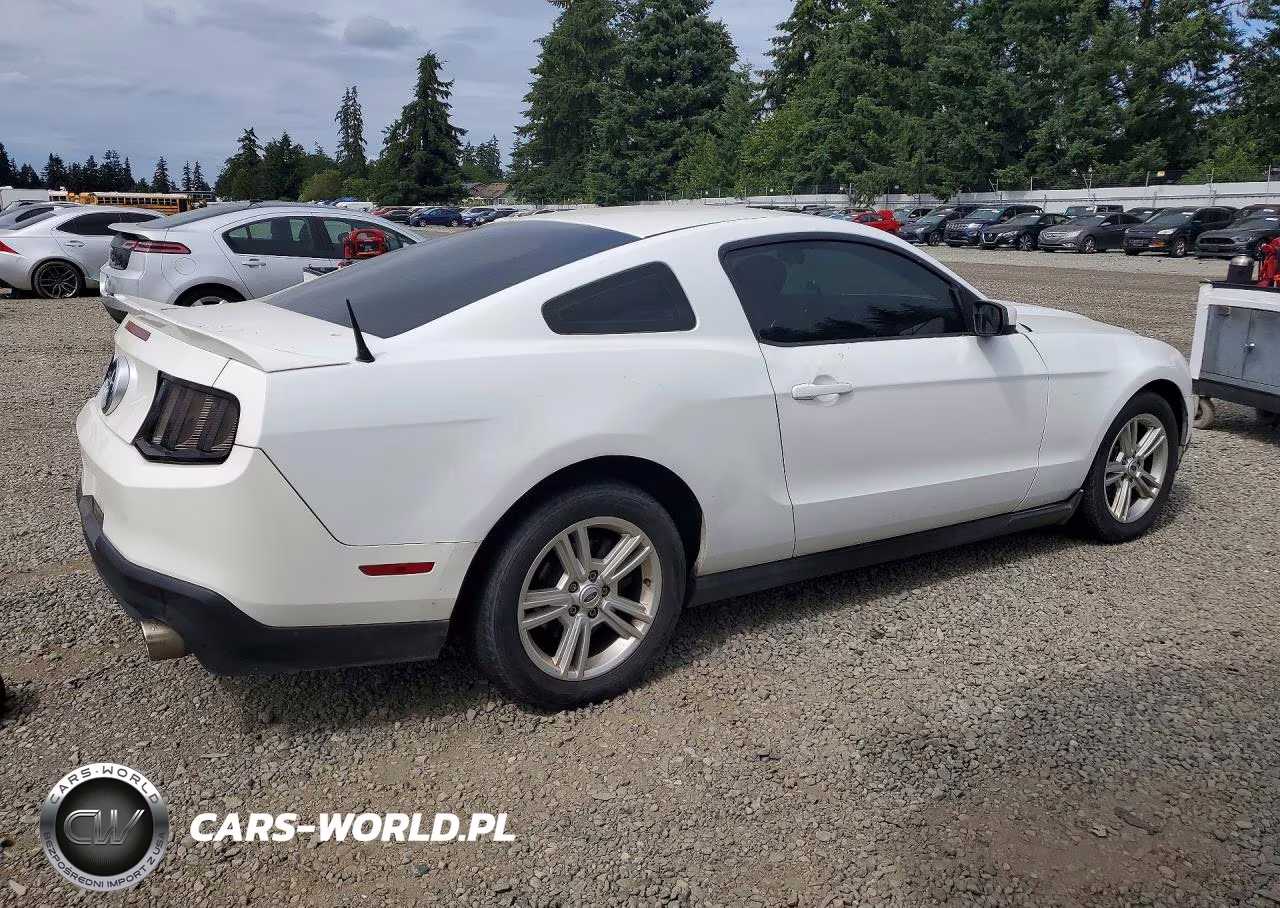 2010 Ford Mustang VIN:1ZVBP8AN5A5146862 - 3